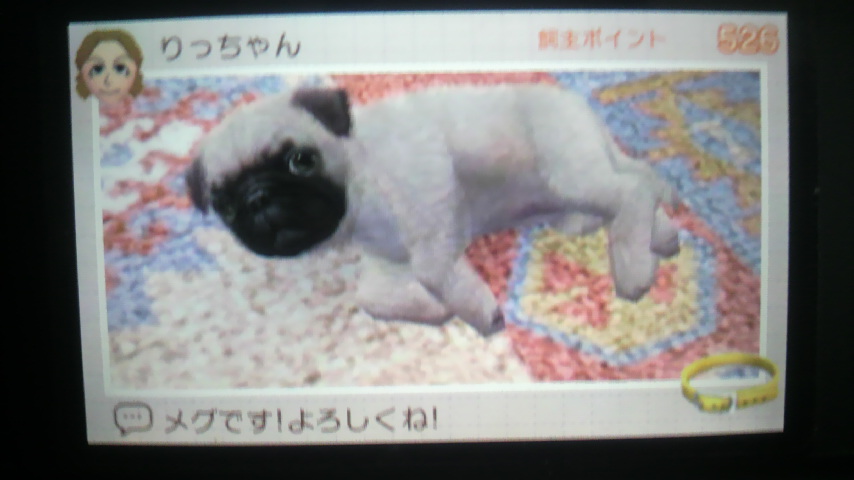 Nintendogs胁OECAƃ}[KbgEA[EG~[EAEnC